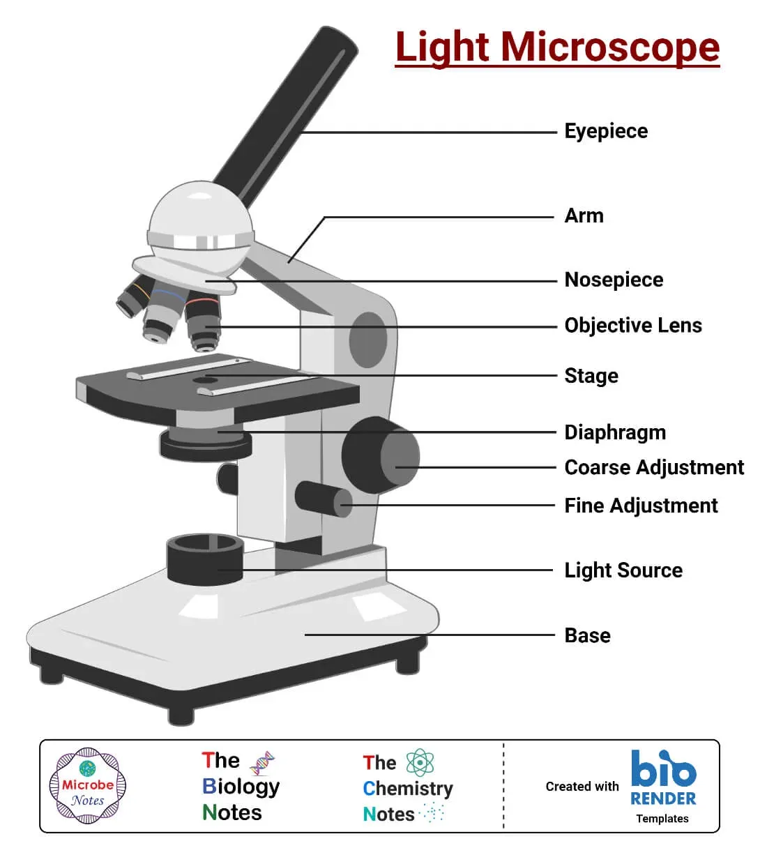 Light microscope